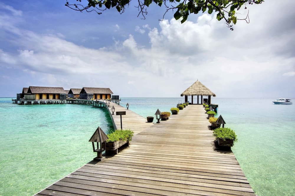 Gangehi Island Resort - View 18