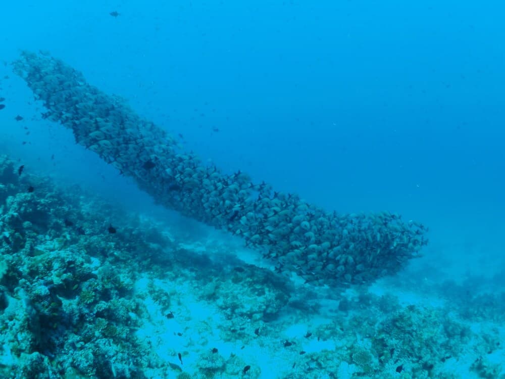 Adroit Beach Inn - View 164