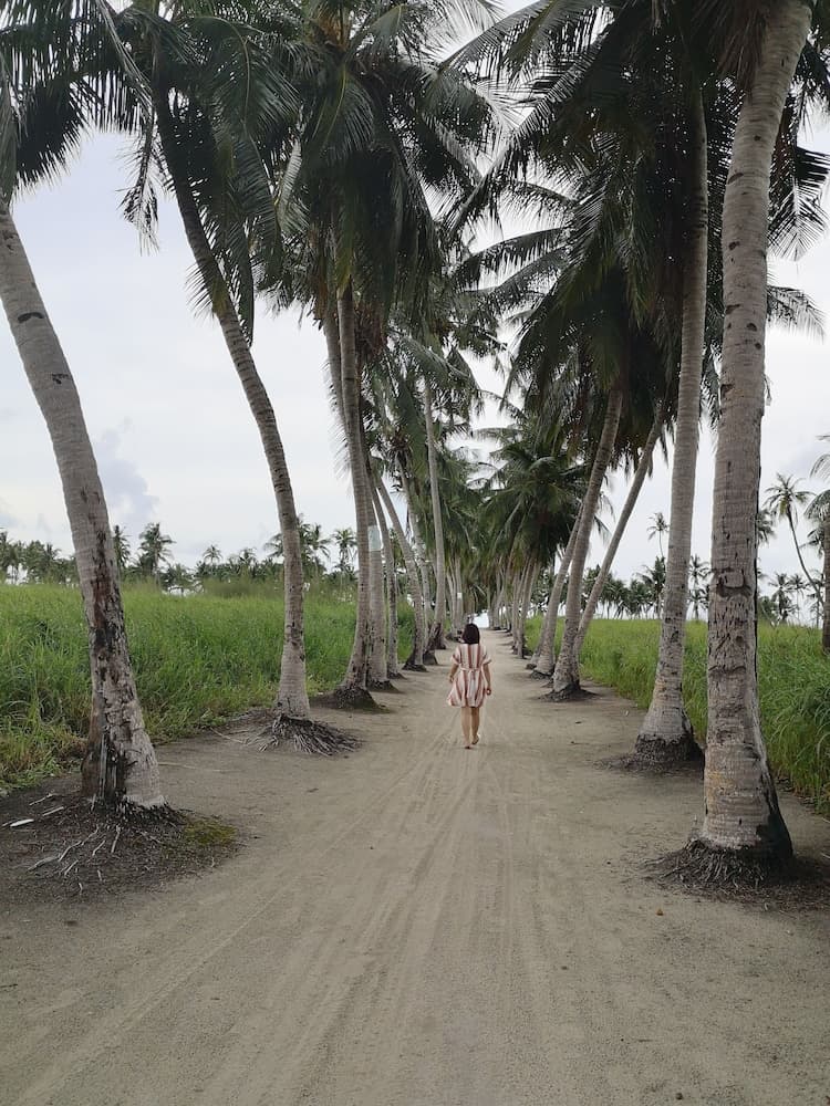 Thila Farm View Guest House - View 38