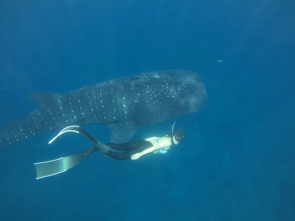 Mala Boutique Inn - View 19