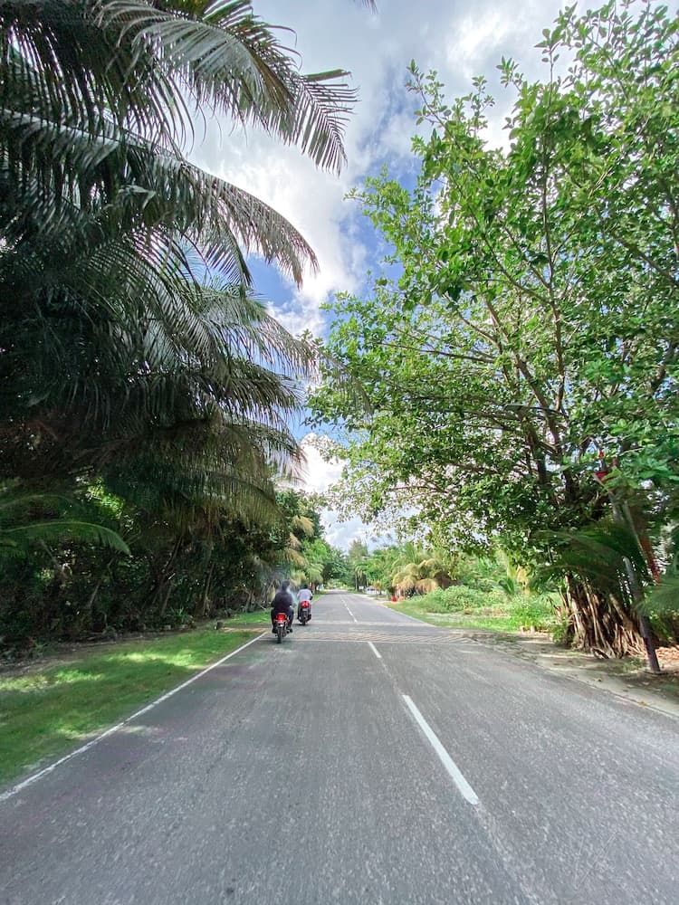 Scuba Residence - View 10