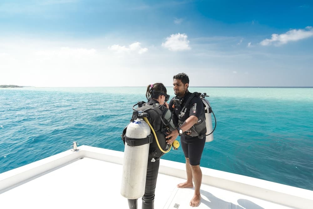 Dhigufaru Island Resort - View 9