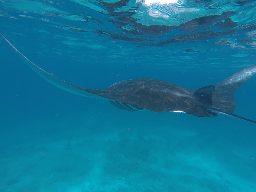 Mala Boutique Inn - View 18