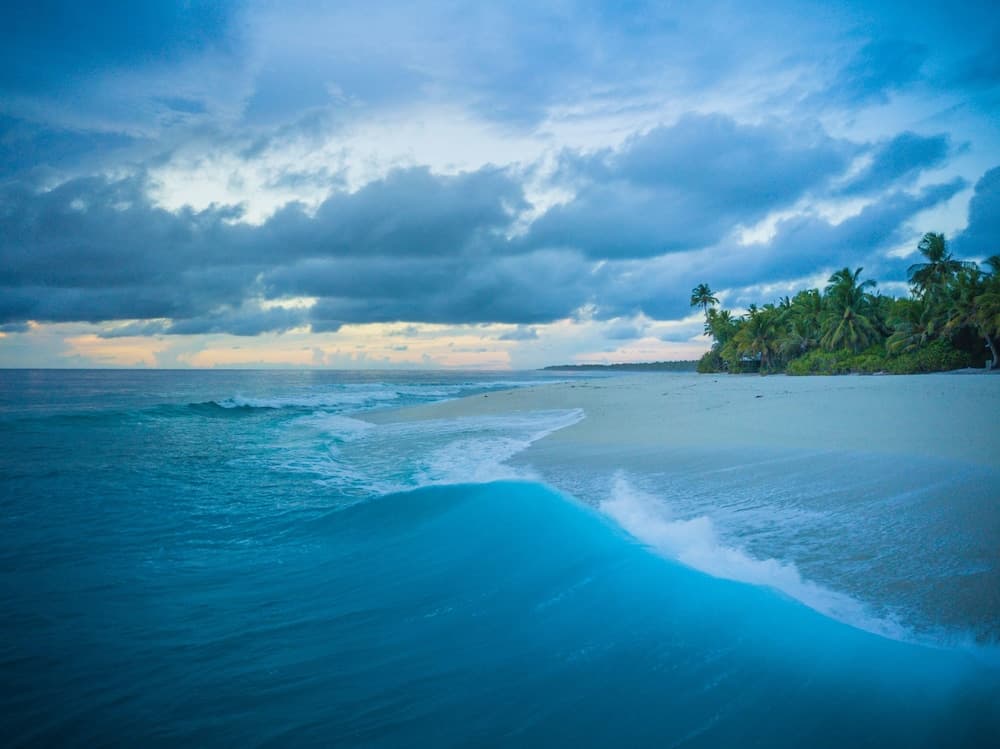 Millennium Island Residence - View 27