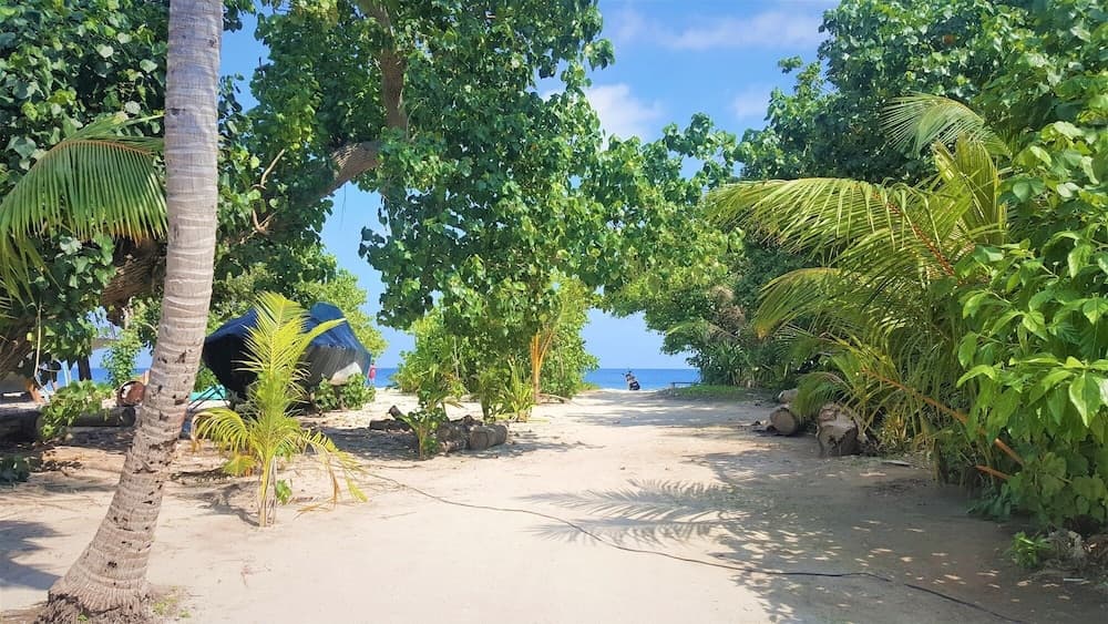 Explore Island Inn - View 29