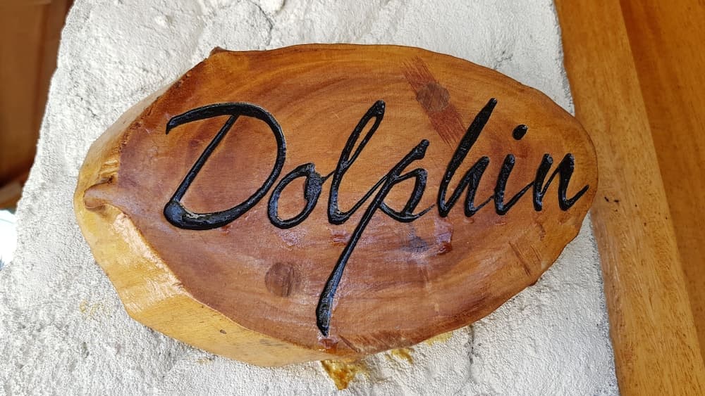 Blue World Dharavandhoo - View 6