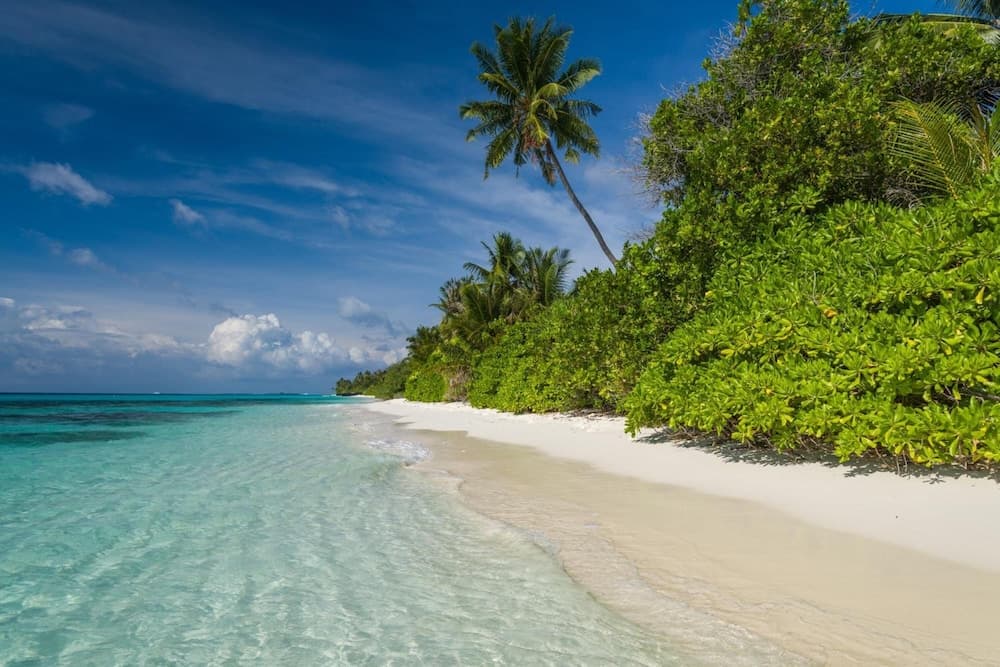 White Sand Dhigurah - View 50
