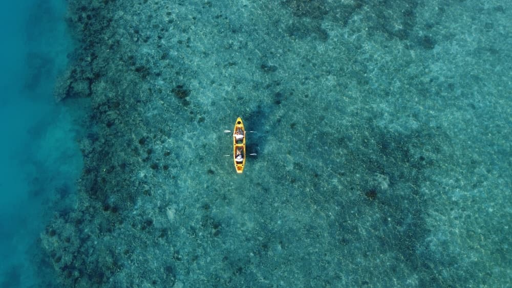 Stay Mikado - View 53