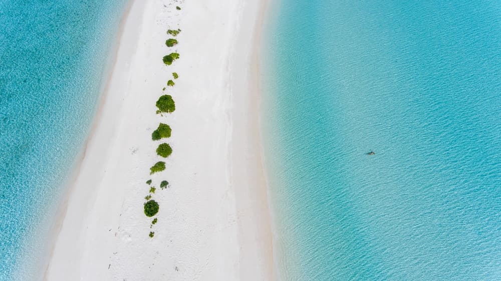 Olive Goidhoo - View 25