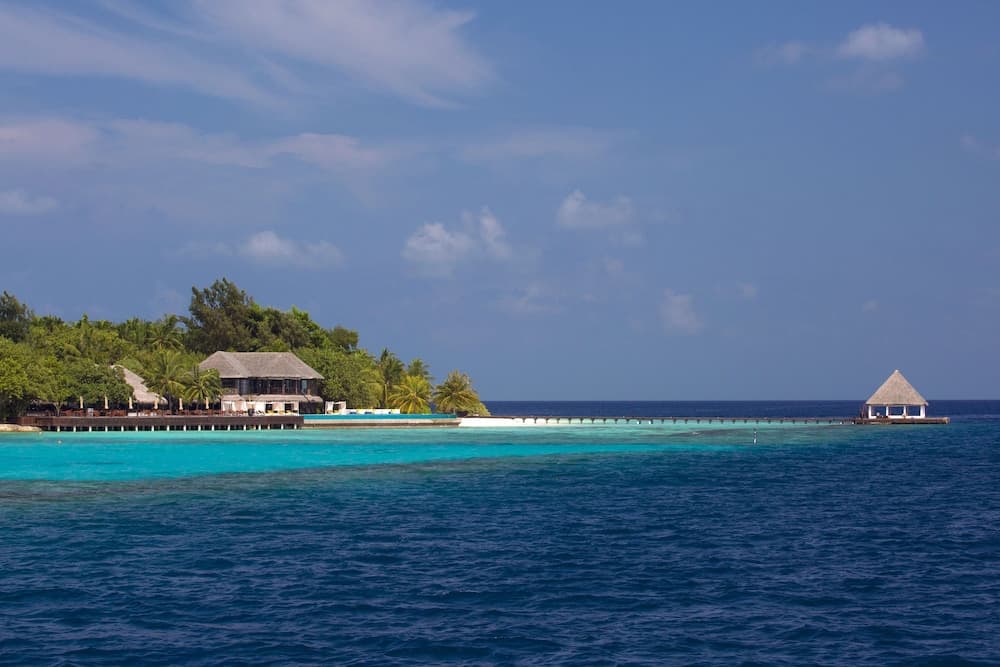 Coco Bodu Hithi - View 101