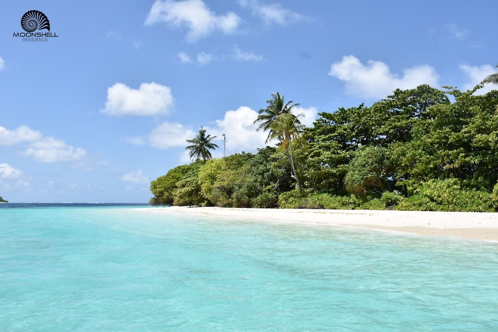 Moonshell Residence - View 4