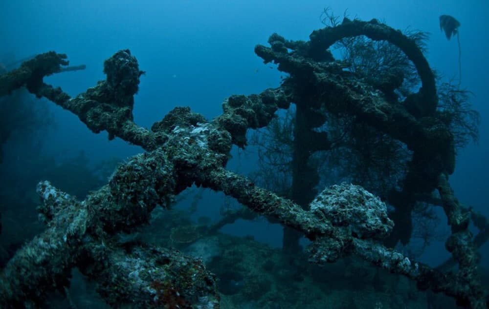 Lagoon Lodge - View 13