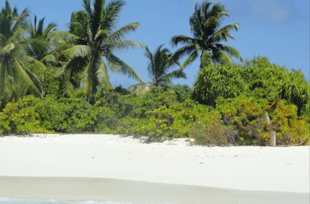 Local Island Inn - View 20