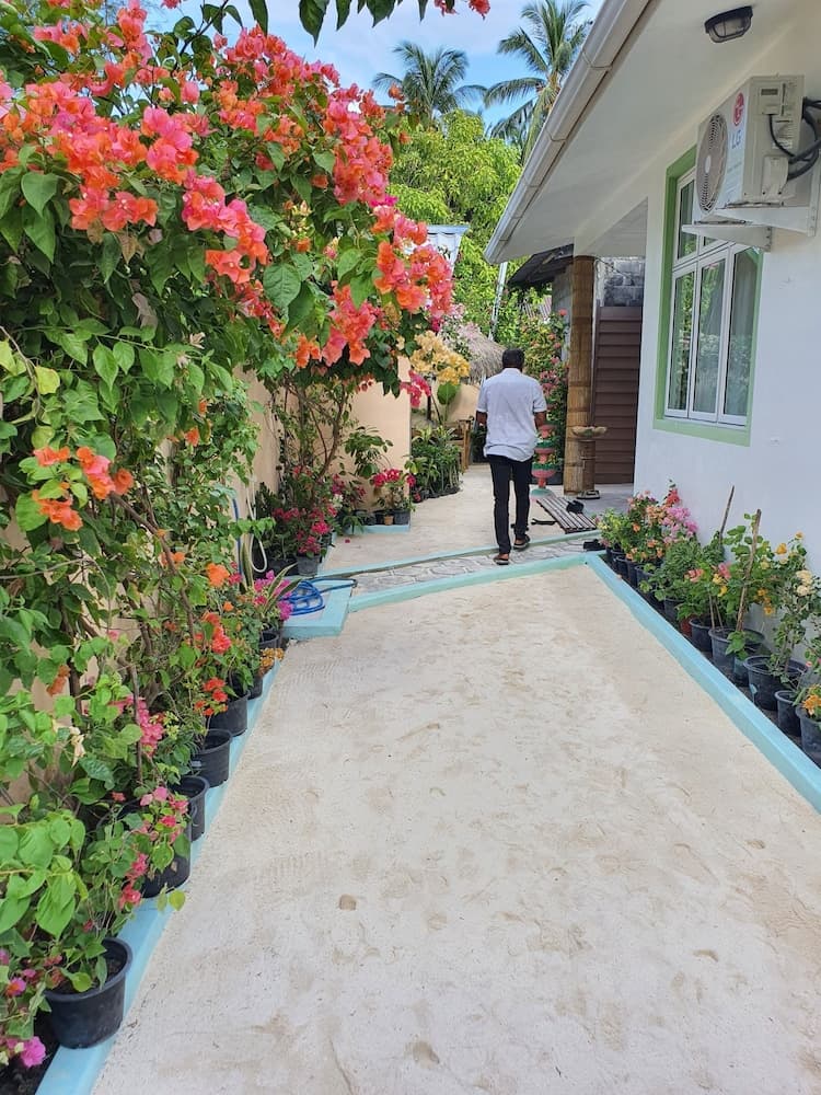 Island Guest - View 49