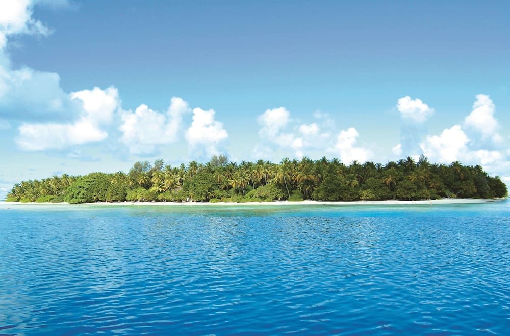Biyadhoo Island Resort - View 14