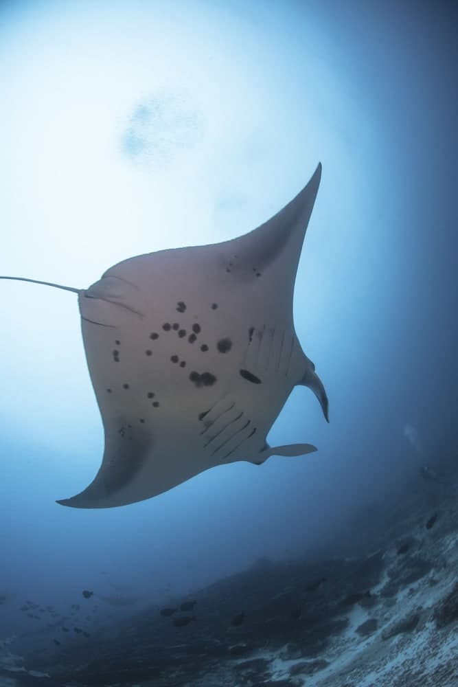 Equator Village - View 28