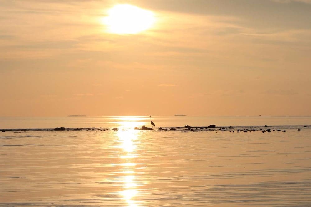 Summer Shade Maldives - View 12