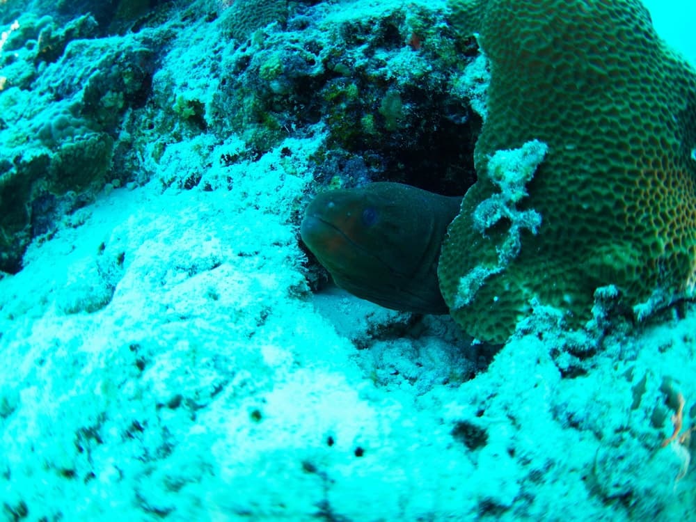 Adroit Beach Inn - View 168