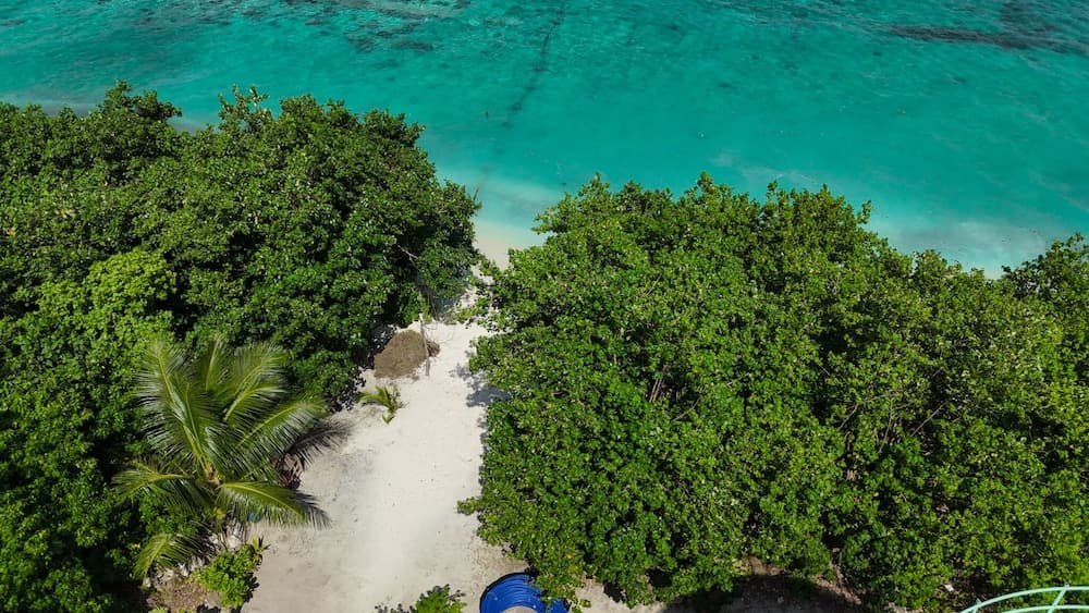 Biosphere by Hawks Hotels Kamadhoo Baa Atoll - View 16