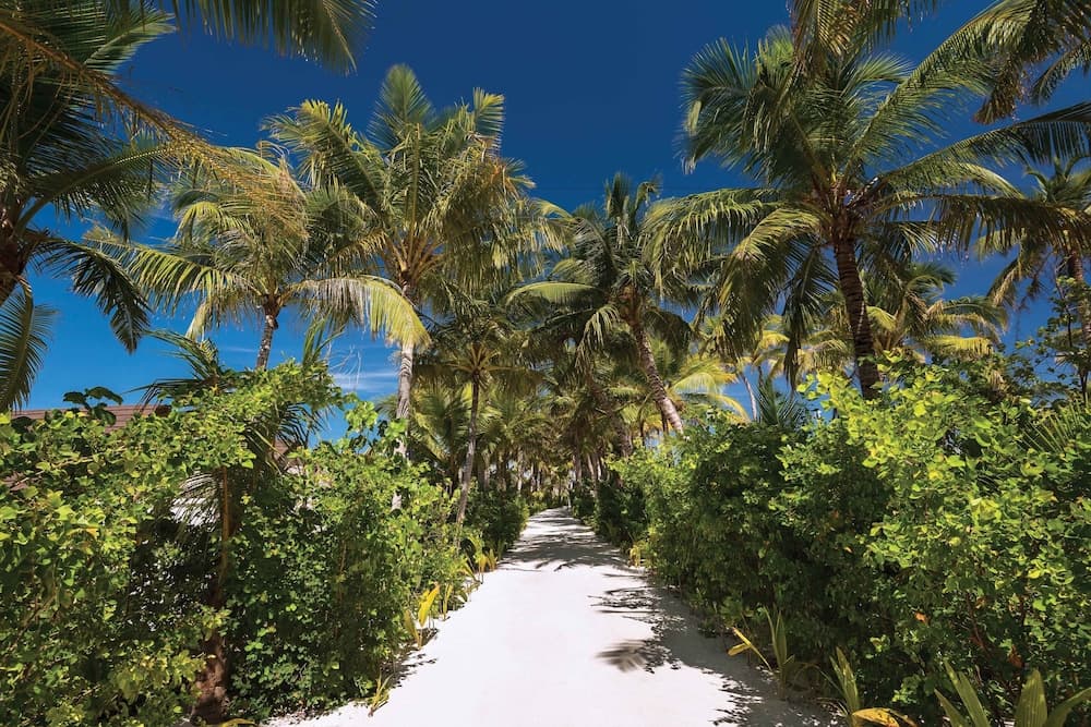 OBLU SELECT Sangeli - Premium All Inclusive with Free Transfers - View 47