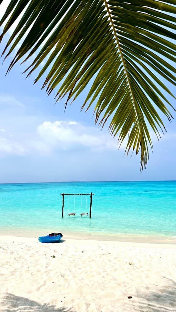 Blue Coral Vashafaru - View 40