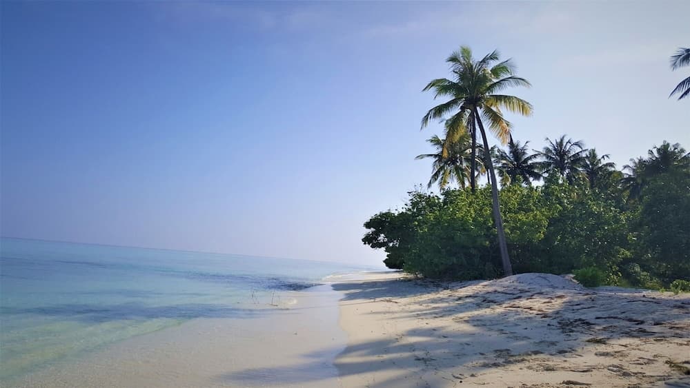 Explore Island Inn - View 21