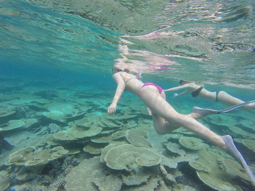 Ukulhas Beach Inn - View 67