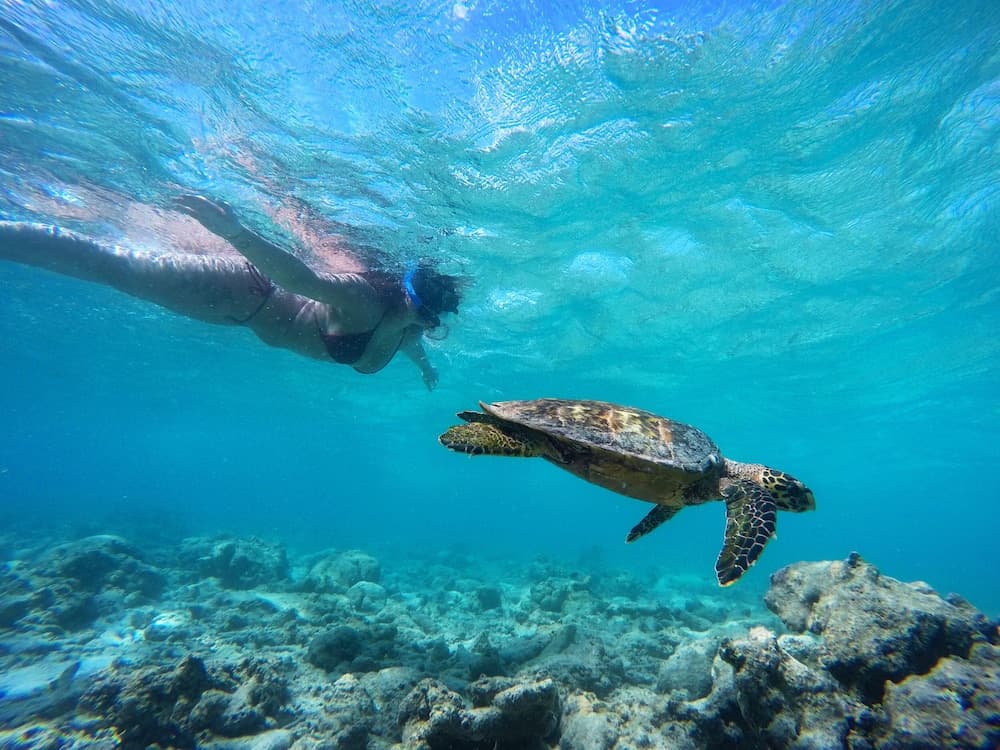 Adroit Beach Inn - View 119