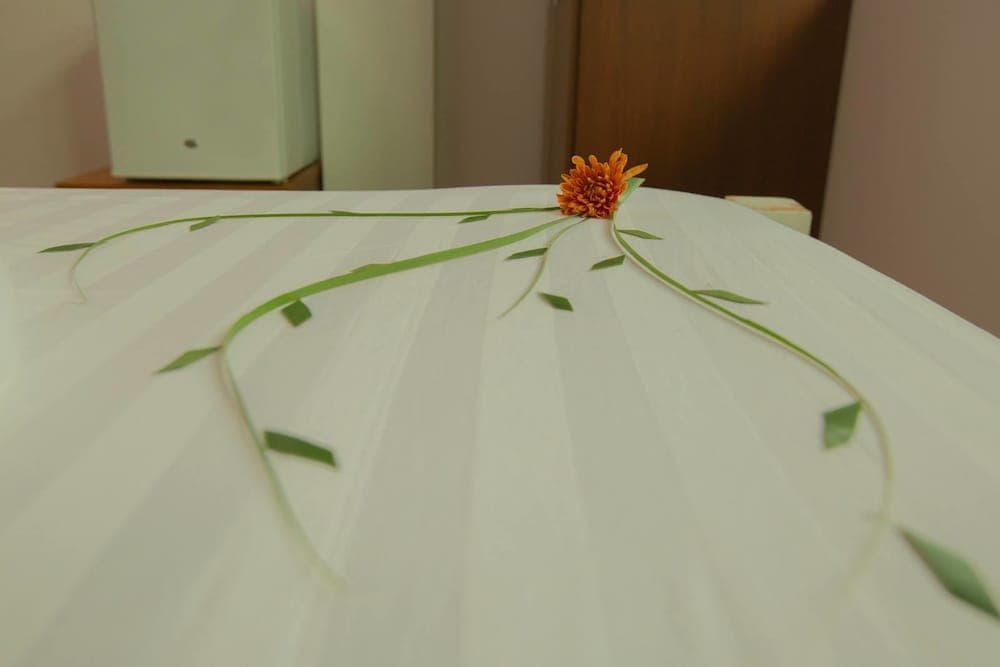 Dhaan Retreat - View 2