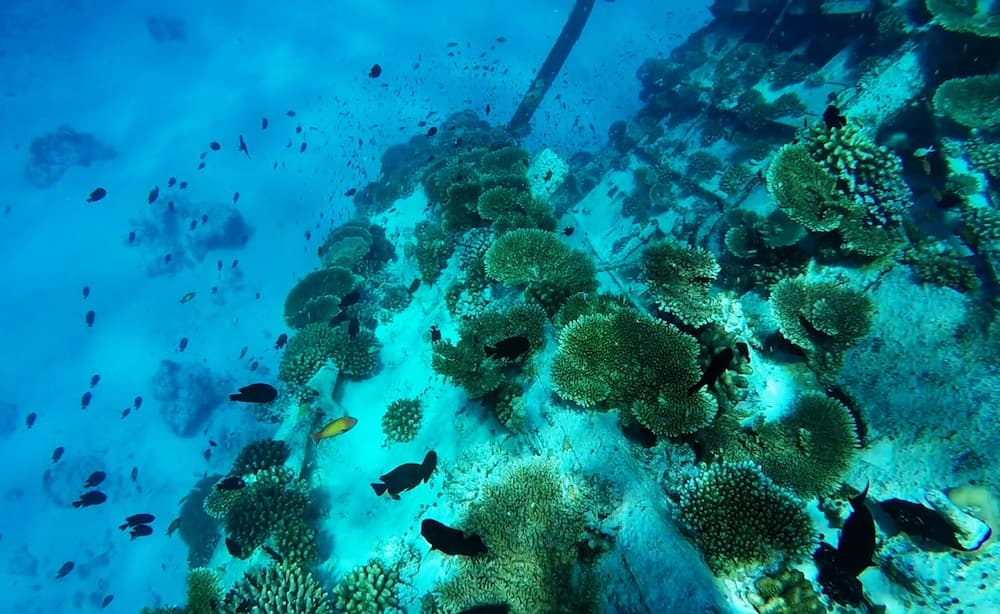 Adroit Beach Inn - View 156