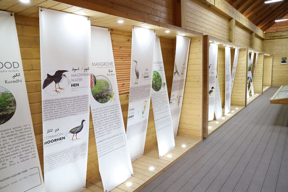 Clove Beach - View 26