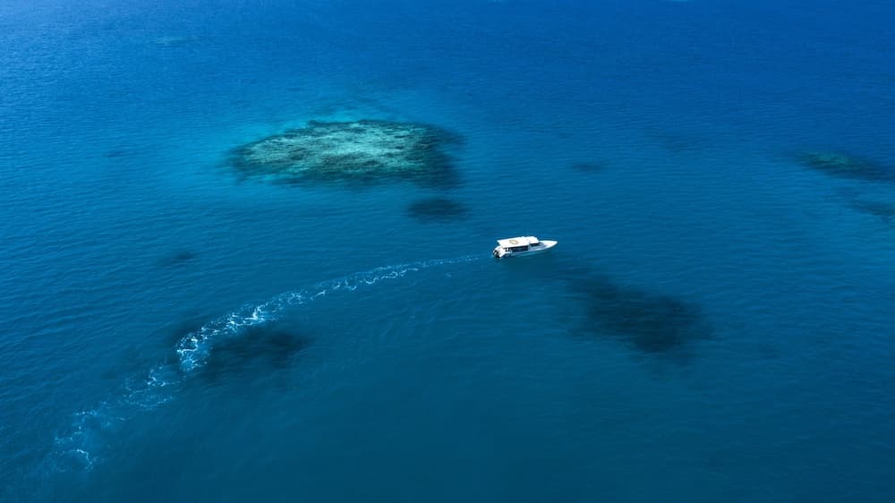 Taj Exotica Resort And Spa - View 74