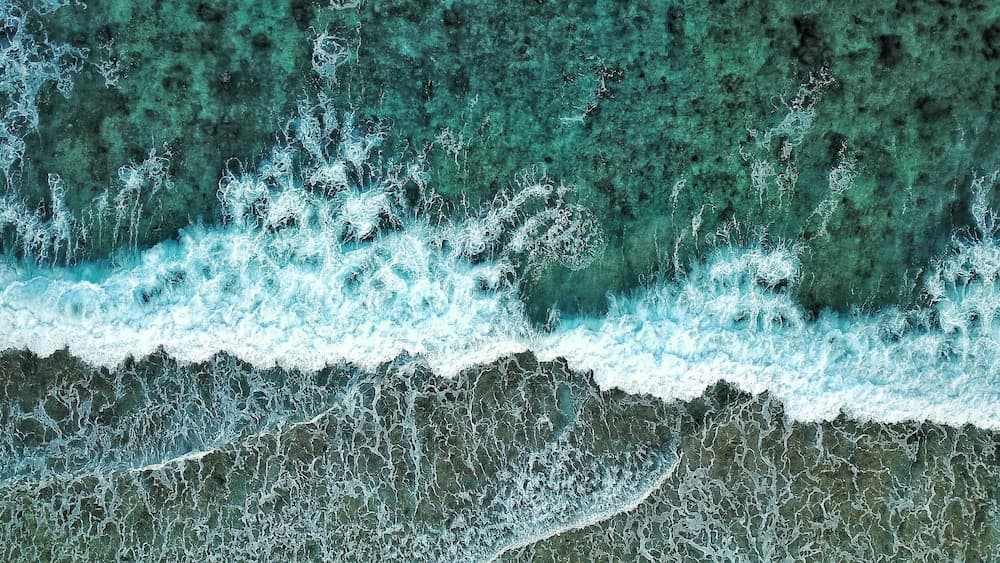 Global Residence - View 37