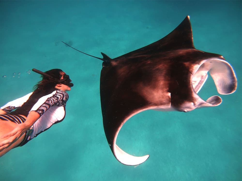 Mala Boutique Inn - View 10