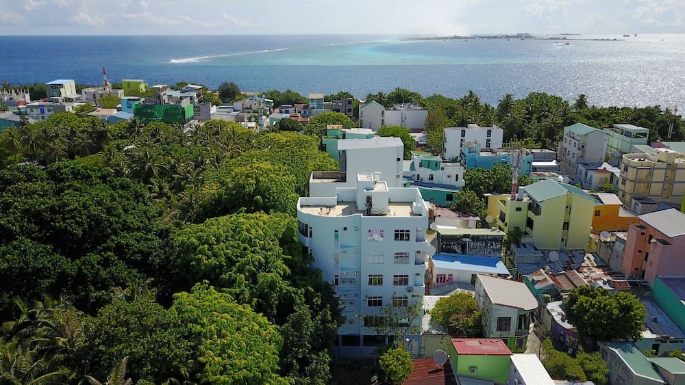 Green Flora - View 54