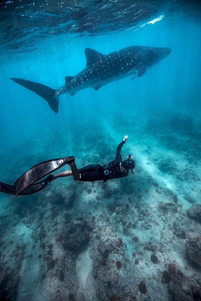 Endheri Sunset - View 76