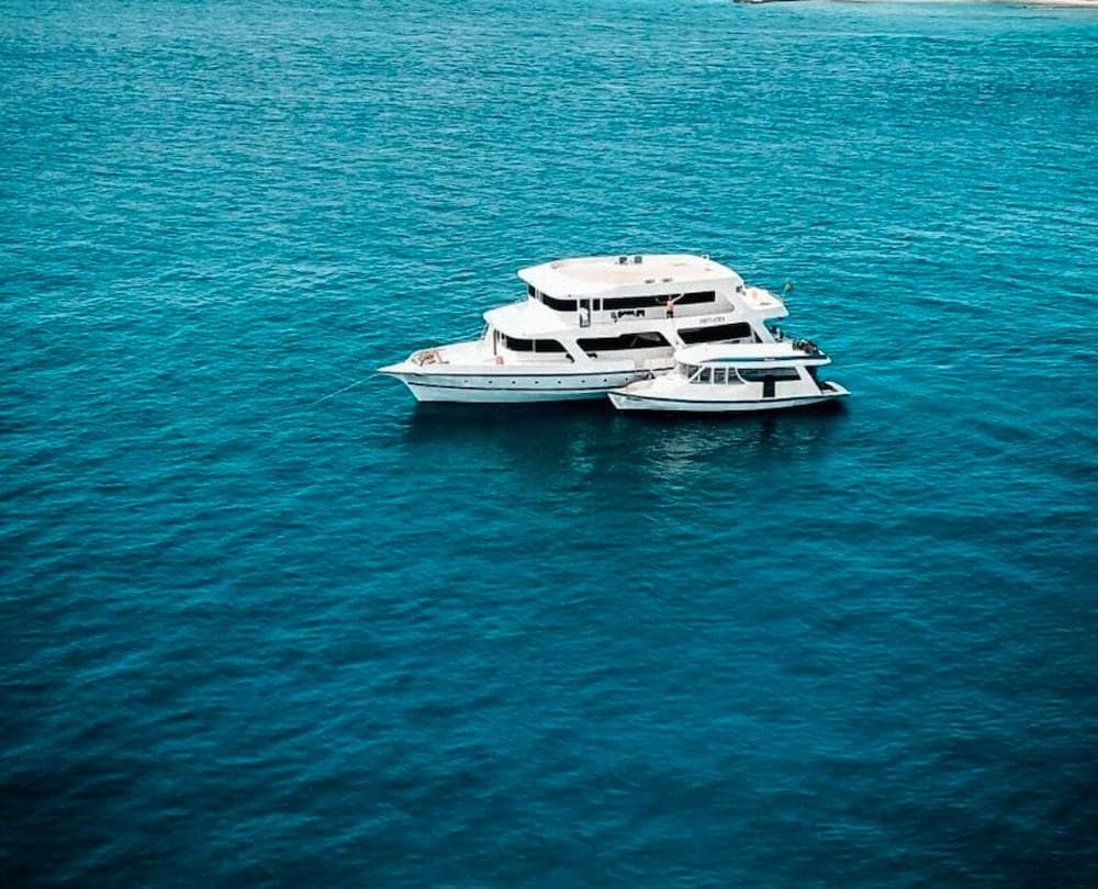 The Maverick Surf and Dive Boutique Hotel - View 41