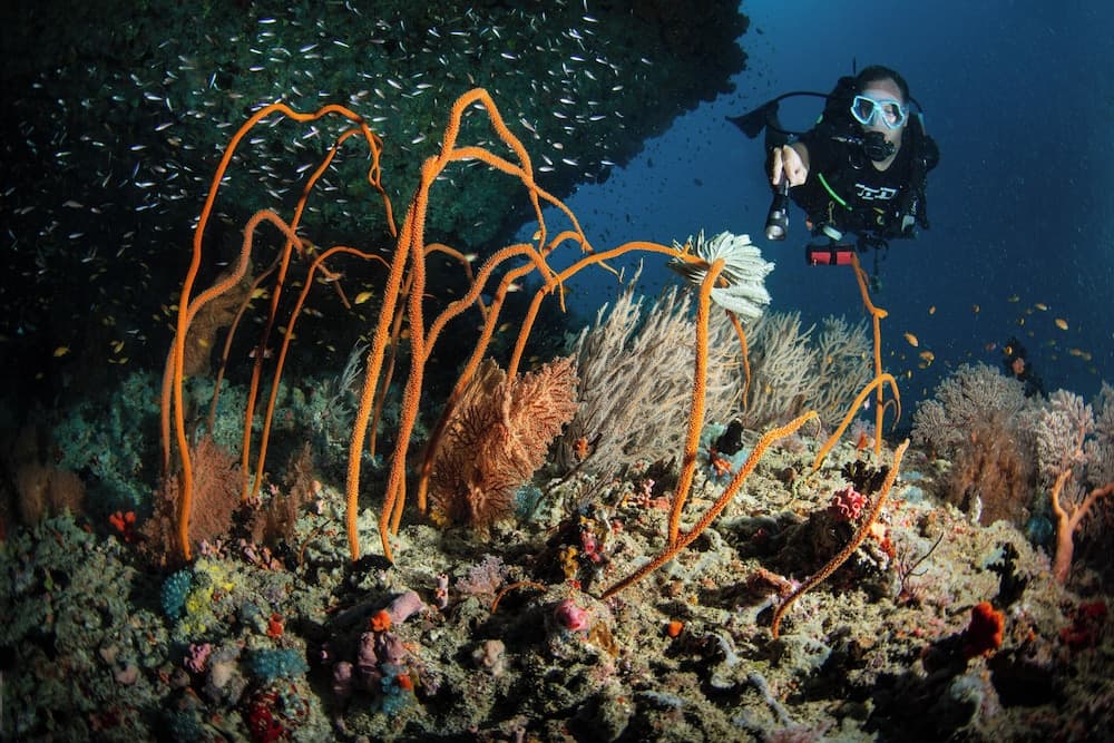Sirru Fen Fushi Private Lagoon Resort - View 34