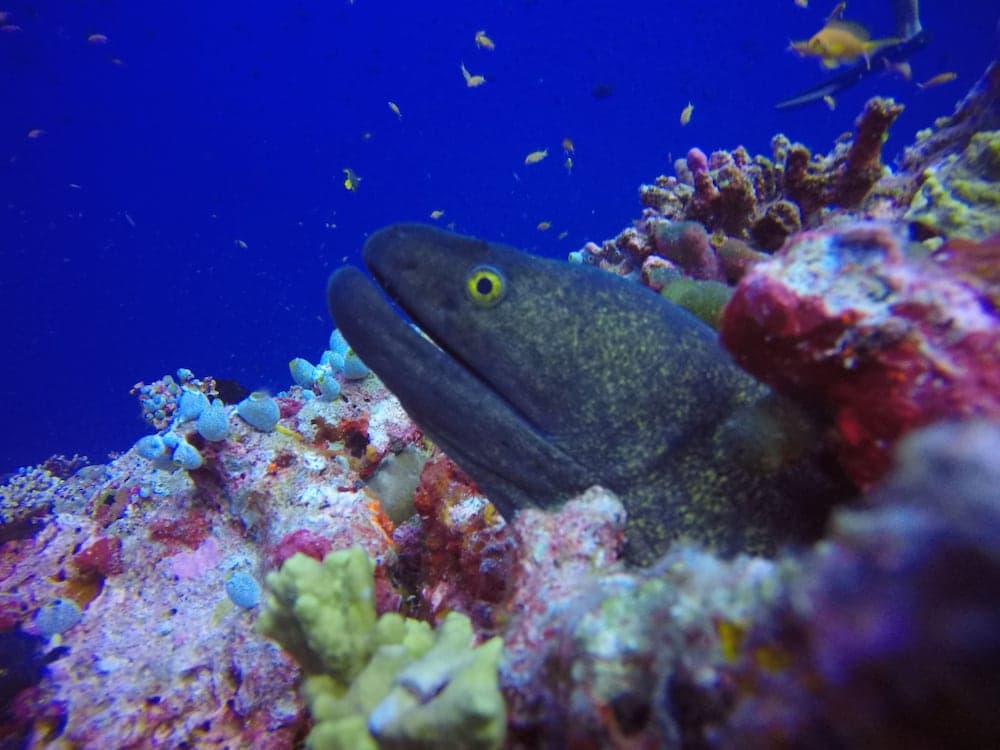 Lilac Stay - View 12