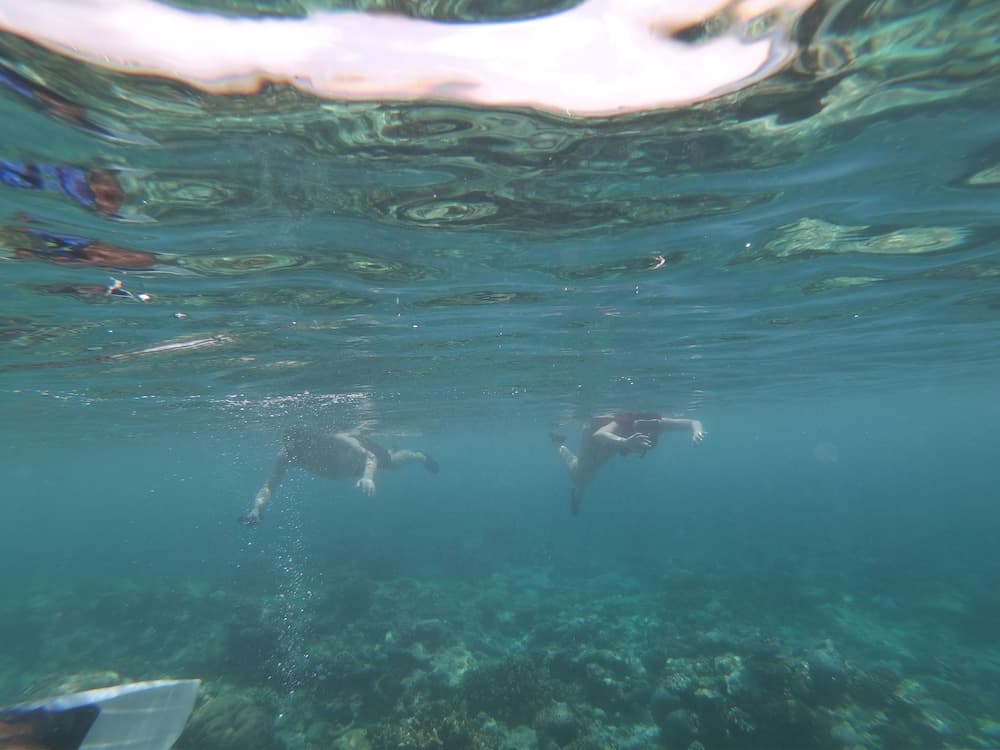 Sevinex Inn - View 3