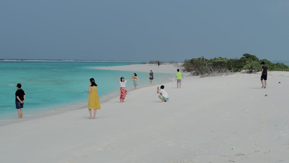 Olive Goidhoo - View 50
