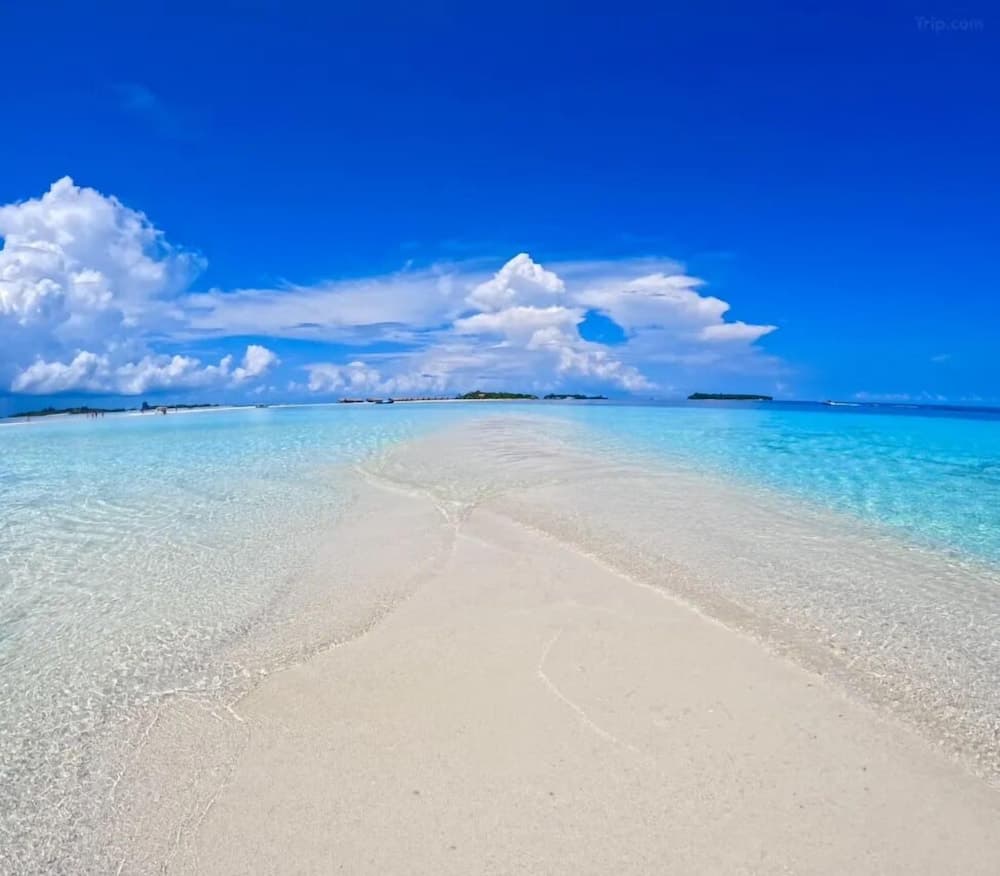 Moonlit Haven - View 13