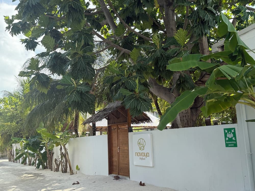 Navaya Dhiffushi - View 10