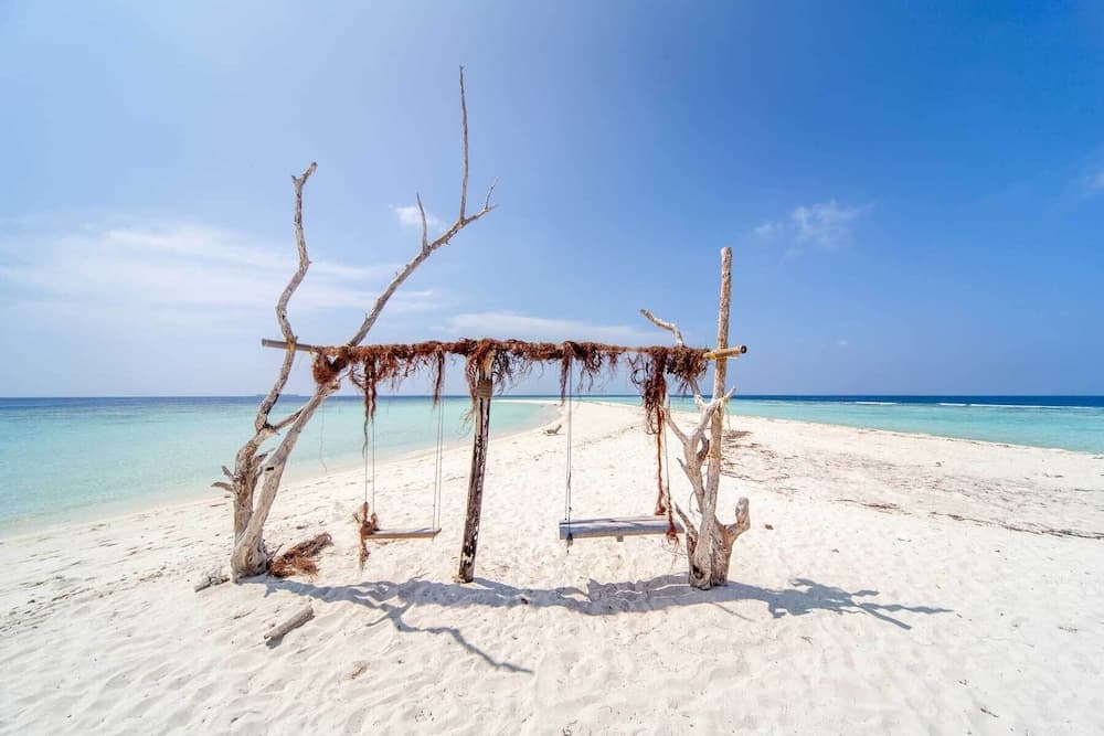 Island Guest - View 4
