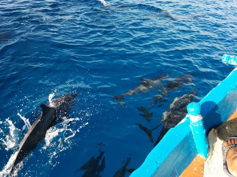 Vaali Maldives Island Escapes & Dive - View 18