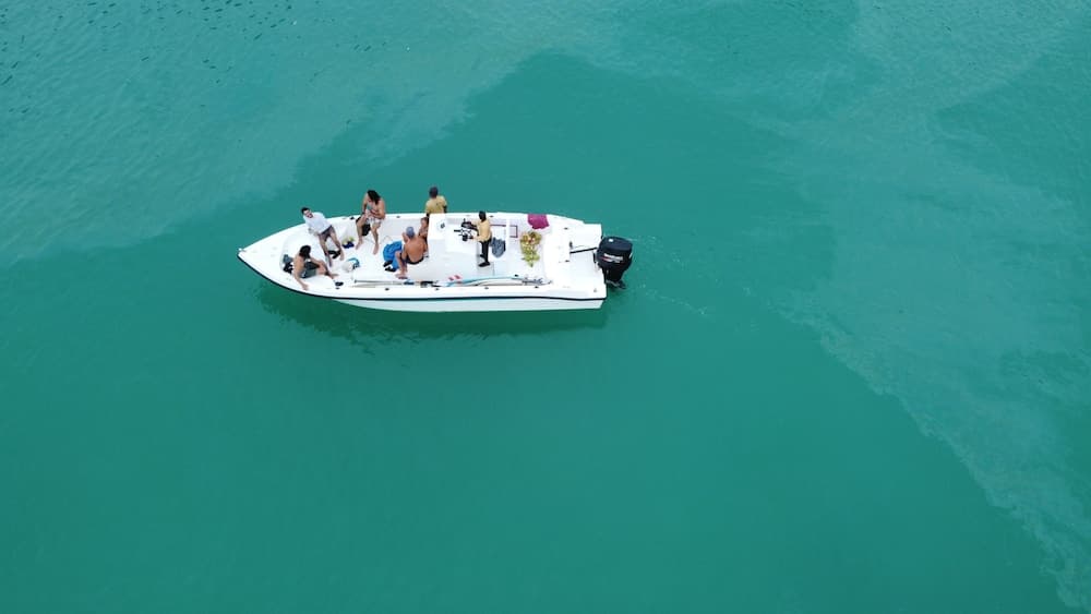 Stay Mikado - View 23