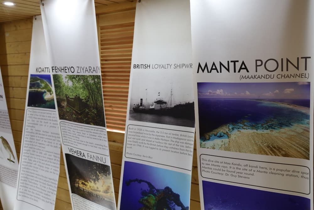 Clove Beach - View 23