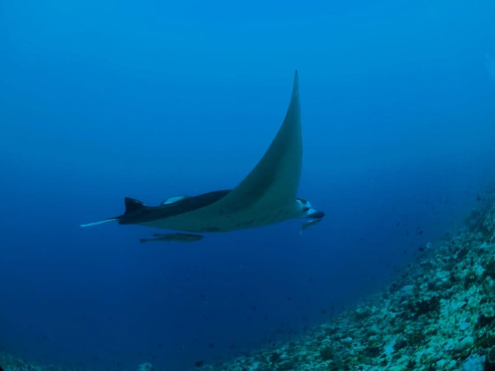 Adroit Beach Inn - View 167