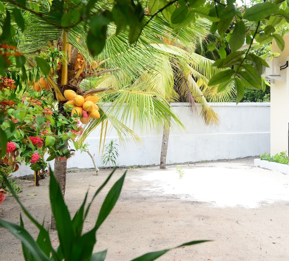 Maclura Residence - View 18