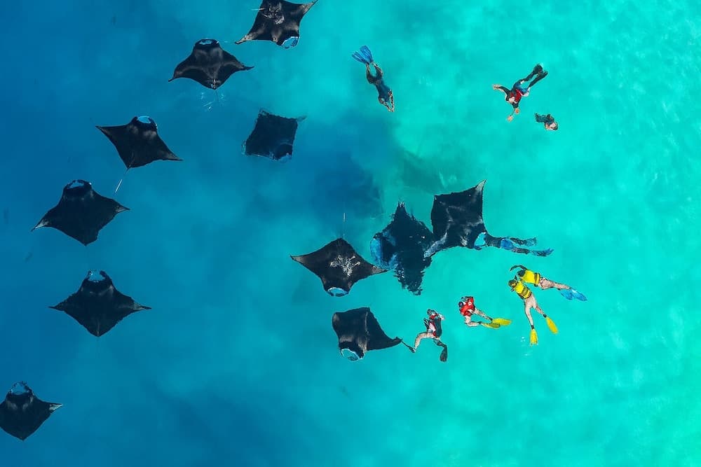 Nest by Hawks Hotels Kamadhoo Baa Atoll - View 2